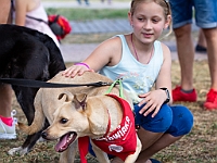 Adoptuj Warszawiaka  Wydarzenie promujące adopcję zwierząt. Organizator: Schronisko dla Bezdomnych Zwierząt "Na Paluchu". 18 sierpnia 2019, Park Raszyński w Raszynie. : park raszyński, adoptuj warszawiaka, na paluchu, schronisko dla zwierząt, centrum warszawy, raszyn